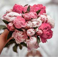 Pin On Wedding Flowers
