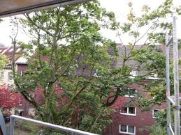 Dieses inserat wurde am 03.06.2021 gelöscht! 3 Zimmer Wohnung Zu Vermieten Schulstrasse 30 48149 Munster Kreuzviertel Mapio Net