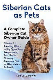 From sweet couple feefa and tigger. Siberian Cats As Pets Siberian Cat Breeding Where To Buy Types Care Temperament Cost Health Showing Grooming Diet And Much More Included A Complete Siberian Cat Owner Guide Kindle Edition By