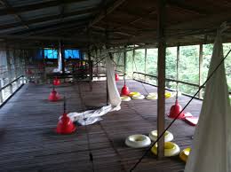 Maybe you would like to learn more about one of these? Projek Pembinaan Reban Ayam Di Besut Maria Firdaus