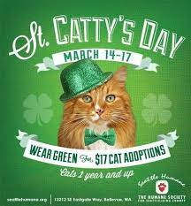 8 Ideas For Animal Shelters On St Patrick S Day Animal Shelter Animal Rescue Fundraising Animal Shelter Donations