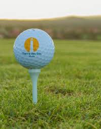 50% off golf fee, daily breakfast, special spa and restaurant special values, complimentary airport pickup, daily maid service. Golf Tierra Del Sol Resort Golf Aruba