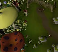 Birdhouses are a good source of hunter xp, crafting xp, and some nice farming resources. Birdhouse In Your Soul Birdhouse Runs