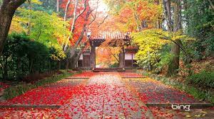 Japan Autumn Autumn Landscape Landscape Wallpaper Japanese Landscape