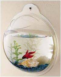 Maybe you would like to learn more about one of these? Wall Mounted Beta Fish Bowl Fish Bubbles Bubble Wall Bathroom Kids