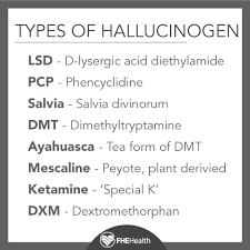 Image result for Hallucinogen