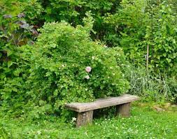 Hier findest du alles, was du für ein schönes leben im garten brauchst. Wo Leben Zecken Die Gefarlichsten Zecken Hotspots In Ihrem Garten