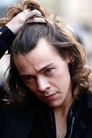 That's basically what his hair looks like. Harry Styles Texan Teenager Lookalike May Be The Best Celebrity Doppelganger Ever Mirror Online