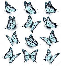 Collection of blue butterflies, flying in different directions. Stock  Vector by ©almoond 121603038