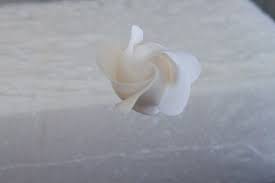 Gumpaste Gardenia Tutorial Cake Central Cake Decorating Flowers Cake Flowers Tutorial Gum Paste