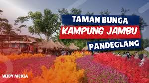 Preview picture of video 'taman bunga bpi rokoy' . Download Taman Bunga Pandeglang Mp3 Mp4 3gp Flv Download Lagu Mp3 Gratis