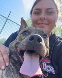 THE FORGOTTEN DOG'S CHRISTMAS POEM Everyone take heed…and please pass this  around to everyone thinking of getting a puppy or dog this holiday season…  ——————————————————————————— Twas the night before Christmas when all