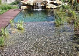 20 Natural Swimming Pools Design Ideas For The Inspiration Which Is A Must Try Swimming Pond Natural Swimming Pools Natural Swimming Pool