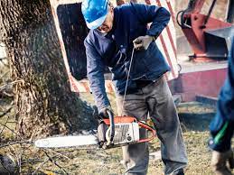 It happens that the engine of your chainsaw floods.flooded chainsaw engines happen.we would like to show you how get your chainsaw running again , to get bac. Steps For Crank Starting A Chainsaw