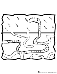School's out for summer, so keep kids of all ages busy with summer coloring sheets. Worm Coloring Page Woo Jr Kids Activities Children S Publishing