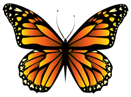 Orange Butterfly Png Clipar Yellow Butterfly Tattoo Butterfly Clip Art Butterfly Art