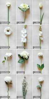 Maybe you would like to learn more about one of these? 650 Nature Ideas In 2021 Planting Flowers Beautiful Flowers Pretty Flowers