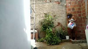 Suzy Cortez porn - Brazilian influencer shows her amazing body