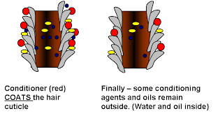 In the morning, shampoo with a moisturizing shampoo and follow with your favorite conditioner. Deep Conditioning On Dry Or Dirty Hair