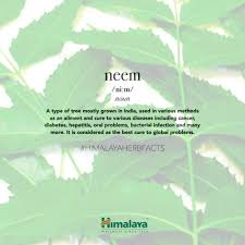 Ada yang perpaduan warna merah, pink, putih, hijau, atau kuning, lho. Himalaya Menawarkan Formulasi 100 Herba Produk Terbaik Penjagaan Muka Enchanted Life Begins