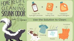 You might have to treat the area with a product more than once. Get Rid Of Skunk Odor What Really Works