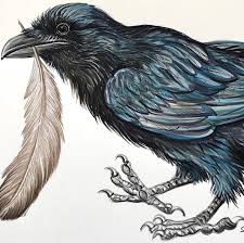 Birds Of A Feather New Vegas Pin On Colorful World