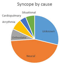 What are the input pathway for balance in the brain? Syncope And Fainting