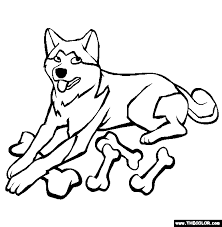 Free printable husky coloring pages. Dogs Online Coloring Pages