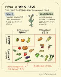 Vegetables food fruit pumpkin healthy vegetable fresh salad nutrition vegetarian. Fruit Vs Vegetable Sketchplanations