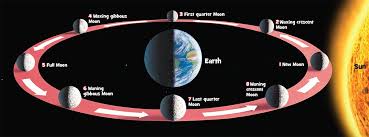 The Phases Of The Moon National Geographic Kids