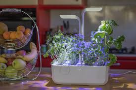 Check spelling or type a new query. Test Avis Potager Veritable Un Jardin D Interieur Bio Et Automatique Gentleman Moderne