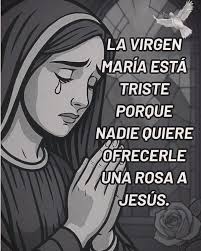 FRERENGKEFCEES GERECEREECE 10 अम PRAMERION 0 T TRUST VNES A WE Es Esto tu  grar día recibirás PLATA Acéptalo