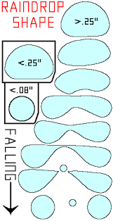 Using the ellipse tool, the direct select tool, and the. The Shape Of A Raindrop Precipitation Education