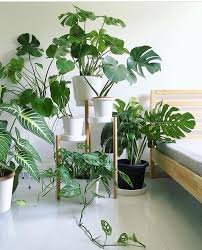 46 Diy Plant Stand Ideas To Fill Your Living Room With Greenery 2020 Ev Icinde Bitki Bakimi Yatak Odasi Bitkileri Bitki