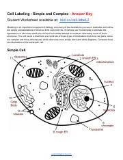 Hand labeling is when a human labels the data for modeling. Celllabelinganswerkey Pdf Cell Labeling Simple And Complex U200b Answer Key Student Worksheet Available At U200b Biol Co Cell Label 2 Modeling Is An Course Hero