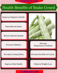 I'll let somebody else determine the guard's. 9 Health Benefits Of Snake Gourd Getatoz