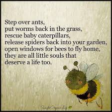 I M Not Sure What I Think About Animal Souls Spirits But I Agree With The Rest How A Person Treats Even The Crawling Things On The Earth Is A Bee Quotes Life