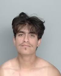 CASTILLO SILAS Record Details: Inmate ID: 20024624 Height: 5 ft 09in(s)  Weight: 155 lbs Gender: M Race: W Age: 22 Eye Color: HAZ Hair Color: BRO  Charges: Charge Code: 13990001 Charge Description: