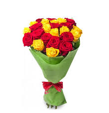 Meeting with her in the wedding planning process. Get Well Flower For Hospital Delivery From Al Nahda Sharjah