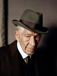 Vihjailua Sherlock Holmes homoudesta, taistelu natseja vastaan