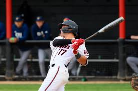 As with nearly all north american professional team sports, the size of minor league baseball teams is limited by rosters. Damiano Palmegiani 2019 Baseball Csun Athletics