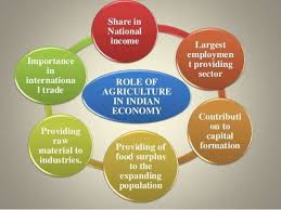 Role Of Agriculture In Indian Economy Agriculture In India Economy Agriculture