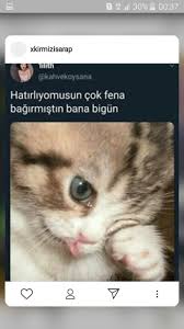 Kesinlikle Yay Burcu Yemin Bile Edebilirim Ama Kanitlayamam 2020 Komik Seyler Komik Komik Capsler