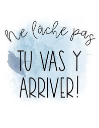 French Motivation Quote Posters By Fle Avec Mmed Tpt Motivational Quotes For Students Motivational Quotes Quote Posters