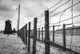 What Is The History Of Barbed Wire With Pictures