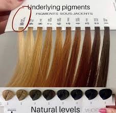 How To Use Wella T18 Toner On Brown Hair