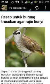 Check spelling or type a new query. Trucukan Master Apkonline