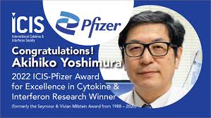 Thank you for your Nomination for ICIS Mid-Career & Senior Researcher  Awards