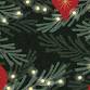 2025 Harriers Christmas Ceilidh Party and Awards Night event image