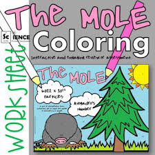 Mole Conversions And Calculations Coloring Worksheet For Review Or Assessment Color Worksheets Mole Conversion Interactive Notes
